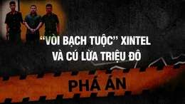 Phá án: 