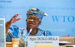 Hội nghị WTO kết thúc mà chưa đạt thỏa thuận