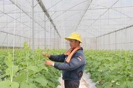 Định Hòa đưa nghị quyết của Đảng vào cuộc sống