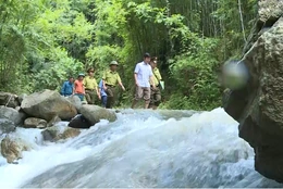 Khi môi trường rừng trở thành nguồn sinh kế