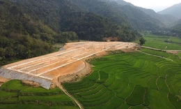 Niềm vui Pom Dụng