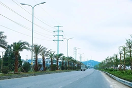 Chung tay vì một đô thị xanh