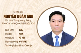 [Infographics] Tiểu sử Phó Chủ tịch Quốc hội Nguyễn Doãn Anh