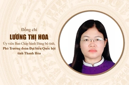 [Infographics] Tiểu sử Phó Trưởng đoàn ĐBQH tỉnh Thanh Hóa khóa XVI Lương Thị Hoa