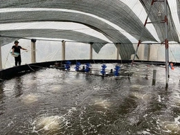 Hoằng Châu phát triển kinh tế,&nbsp;nâng cao thu nhập cho người dân