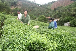 Chuyển mình từ ruộng đồng lên chuỗi giá trị