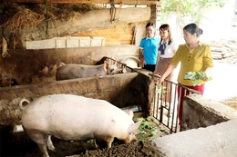 Phụ nữ thôn Bái Trại đoàn kết giúp nhau vượt khó