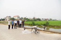 Hiệu quả vượt trội từ những&nbsp;“cánh đồng không dấu chân”