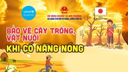 [Infographics] Bảo vệ cây trồng, vật nuôi khi có nắng nóng