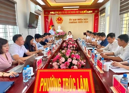 Giám sát thực hiện Nghị quyết số 57 của Bộ Chính trị tại phường Trúc Lâm