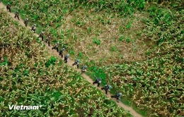 Dồn lực cho hành trình 500 ngày đêm xác định danh tính hài cốt liệt sỹ