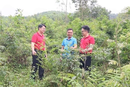 Dấu ấn tiên phong vì sự phát triển&nbsp;nông nghiệp xanh, bền vững