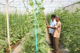 Dân vận khéo xây dựng “Xứ đạo bình yên, gia đình văn hóa”