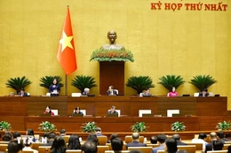 Thí điểm chế định luật sư công tại 8 bộ và 10 địa phương từ ngày 1/10/2026