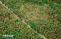 Dồn lực cho hành trình 500 ngày đêm xác định danh tính hài cốt liệt sĩ