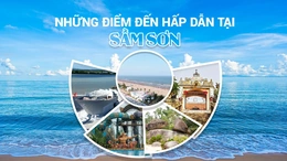 [Infographics] Những điểm đến hấp dẫn tại Sầm Sơn