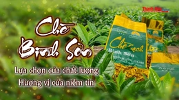 [REVIEW OCOP] Chè Bình Sơn – lựa chọn của chất lượng, hương vị của niềm tin