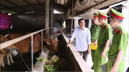 Giúp người lầm lỡ tái hòa nhập cộng đồng