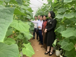 Đồng vốn nhỏ, khát vọng lớn