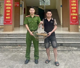 Người dân xã Thanh Phong tự giác giao nộp một cá thể Culi