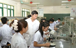 Đưa phong trào tuổi trẻ sáng tạo đi vào chiều sâu