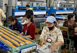 Quan tâm phát triển đoàn viên, thành lập công đoàn cơ sở