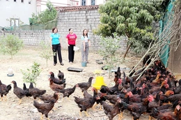 Duy trì nguồn lực hỗ trợ để phát triển