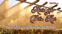 [REVIEW OCOP] Miến gạo Diễn Hợi – Hành trình từ ruộng đồng đến OCOP 3 sao