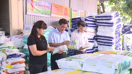 Thanh Hóa: Kiểm tra chuyên ngành giống cây trồng vụ mùa 2026