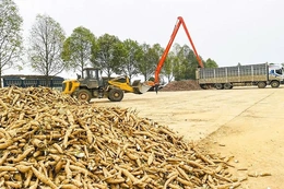 Phát triển vùng nguyên liệu bền vững - Hướng tới chuỗi giá trị toàn cầu (Bài cuối): Giải pháp nào để “giữ chân”&nbsp;các vùng nguyên liệu?