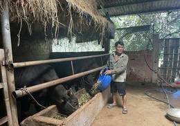 Chế biến thức ăn chăn nuôi&nbsp;từ phụ phẩm trồng trọt