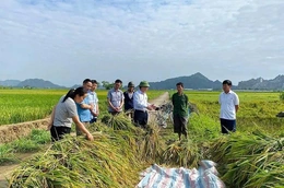 Quý Lộc cụ thể hóa nghị quyết bằng các&nbsp;chương trình hành động sát thực tiễn