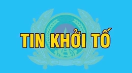 Khởi tố 5 vụ án hình sự về tội “Xâm phạm quyền tác giả, quyền liên quan”