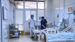 Cảnh báo mùa rắn sinh sản - nguy cơ rắn độc cắn gia tăng