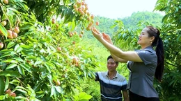 Những mô hình kinh tế mới ở xã vùng biên Quang Chiểu