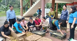 Huy động các nguồn lực hỗ trợ phụ nữ nghèo