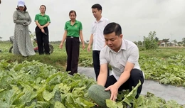 Vai trò của cấp ủy trong nâng cao năng lực lãnh đạo, sức chiến đấu của chi bộ