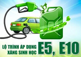 [Infographics] Lộ trình áp dụng xăng sinh học E5, E10