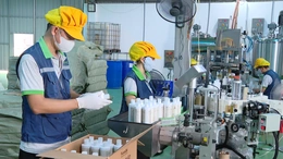 OCOP “làm mới mình” để ra biển lớn