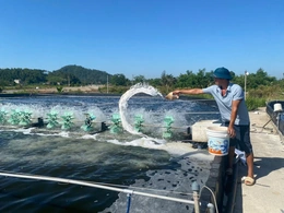 Chủ động ứng phó với nắng nóng, bảo vệ diện tích nuôi trồng thủy sản