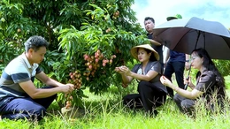 Quang Chiểu giảm nghèo thông tin, cải thiện đời sống người dân