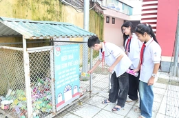 Xây dựng trường học xanh, sạch, đẹp, an toàn vì thế hệ tương lai