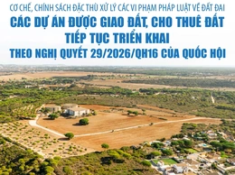 Cơ chế, chính sách đặc thù xử lý các vi phạm pháp luật về đất đai: Các dự án được giao đất, cho thuê đất tiếp tục triển khai