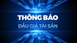 Báo và Phát thanh, truyền hình Thanh Hóa thông báo lựa chọn tổ chức bán đấu giá 2 xe ô tô