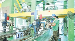 Kinh tế tư nhân - động lực trung tâm để bứt phá trong kỷ nguyên mới (Bài cuối): Khi thành công không chỉ được đo bằng lợi nhuận