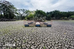 WMO cảnh báo El Nino sớm hình thành, gia tăng nguy cơ thời tiết cực đoan