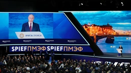 SPIEF 2026: Định hình trật tự đa cực, khẳng định nội lực Nga