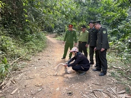 Tăng cường quản lý, bảo vệ các loài động vật hoang dã, nguồn lợi thủy sản