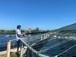 Bảo vệ diện tích nuôi trồng thủy sản trong mùa nắng nóng