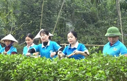 Nghe hội viên nói, nói hội viên hiểu, làm hội viên tin